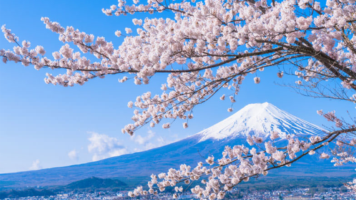 「直接会って相談して決めたい」。遺骨ジュエリーのために静岡へ足を運ぶ、大切な時間