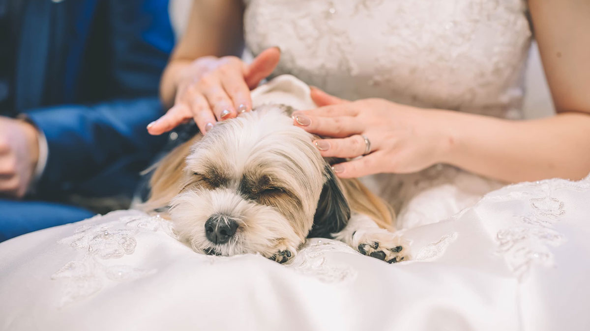 愛犬と一緒に誓う、森の中の結婚式。広大な敷地だから大型犬も◎